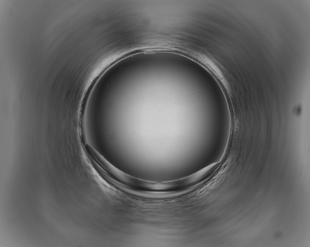 X0000091461485200708161512