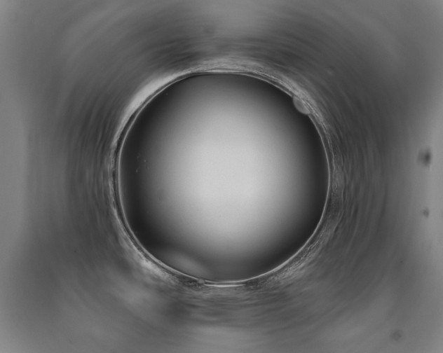 X0000091461486200708161512