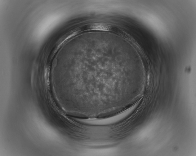 X0000091461487200708161512