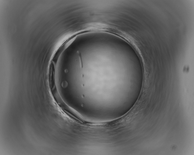 X0000091461488200708161512
