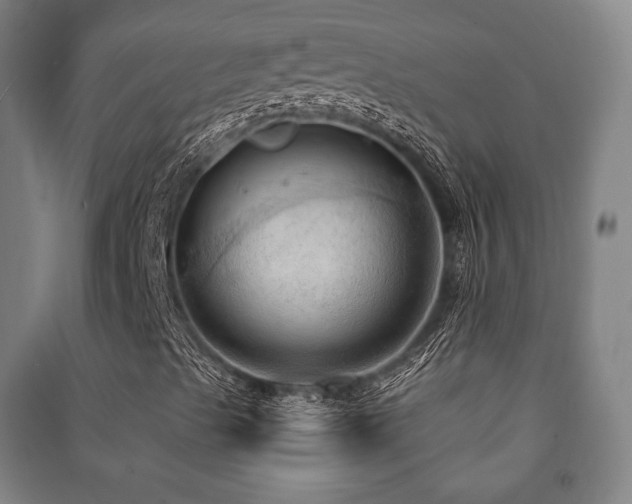X0000091461489200708161511