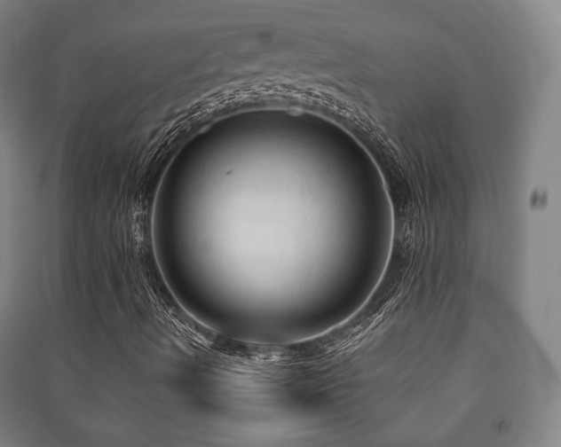 X0000091461490200708161511
