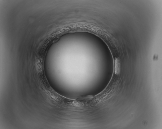 X0000091461491200708161512