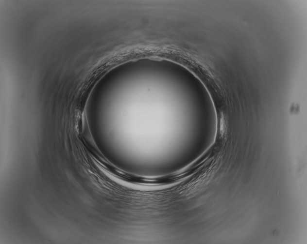 X0000091461492200708161512