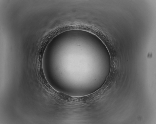 X0000091461493200708161512