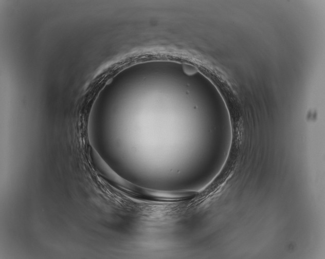 X0000091461494200708161512