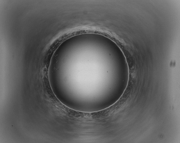 X0000091461495200708161512