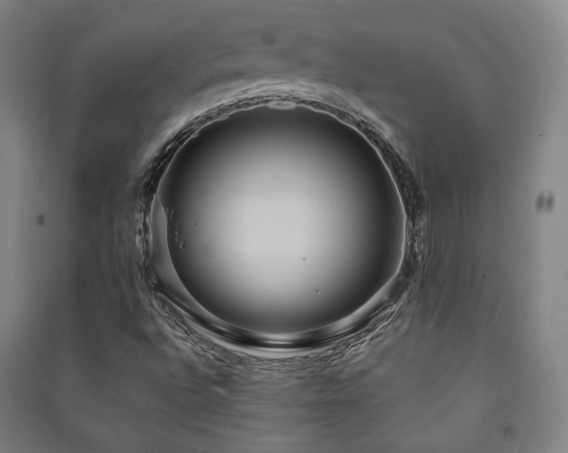 X0000091461496200708161512