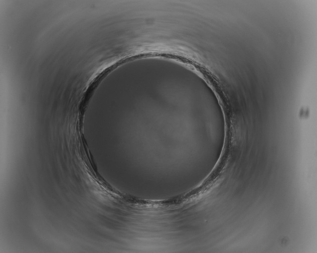 X0000091461497200708161512