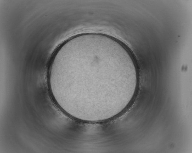 X0000091461498200708161512