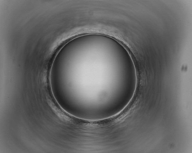 X0000091461499200708161512