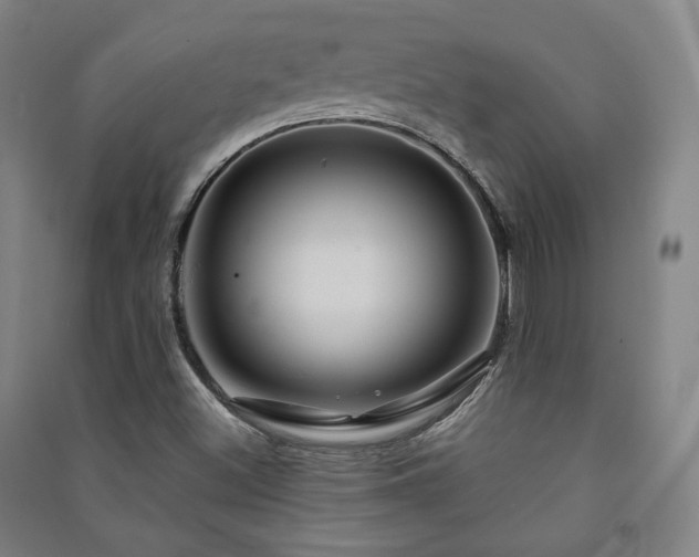 X0000091461500200708161512