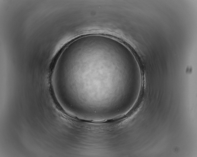 X0000091461501200708161512