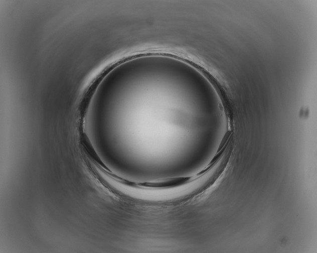 X0000091461502200708161512