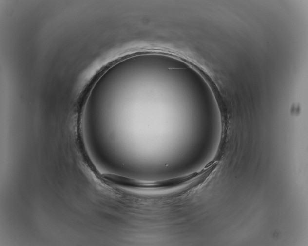 X0000091461503200708161512