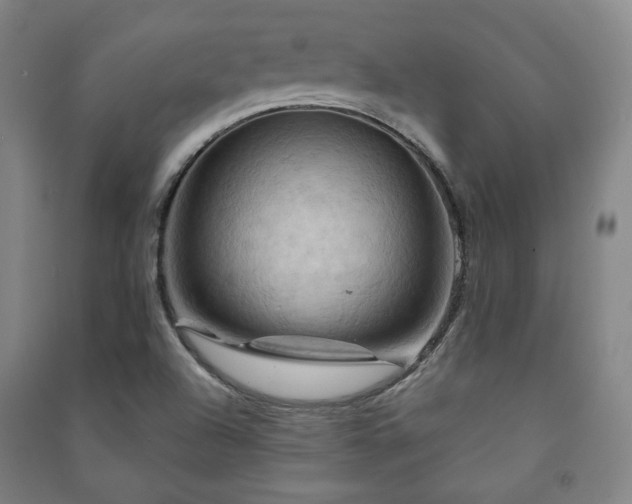 X0000091461504200708161512