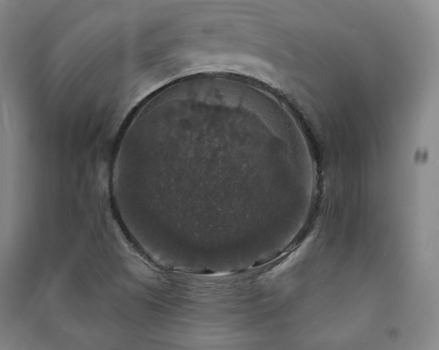 X0000091461505200708161512
