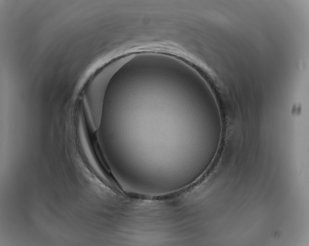 X0000091461506200708161512