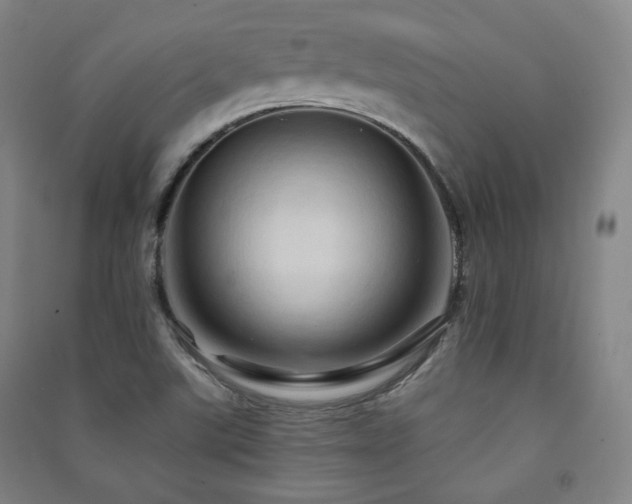 X0000091461507200708161512