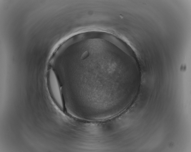 X0000091461508200708161512