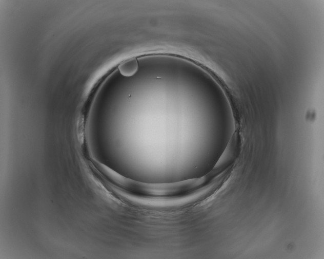 X0000091461510200708161512