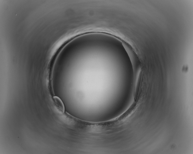 X0000091461511200708161512