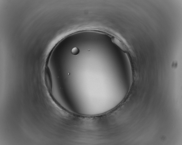 X0000091461512200708161512