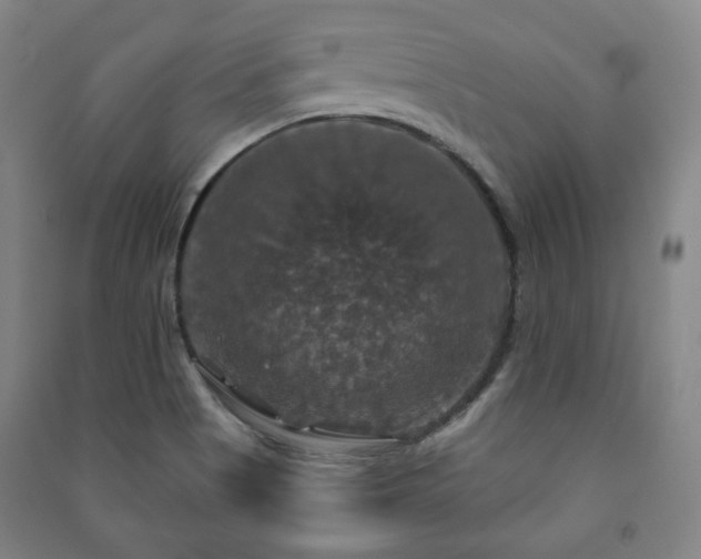 X0000091461513200708161512