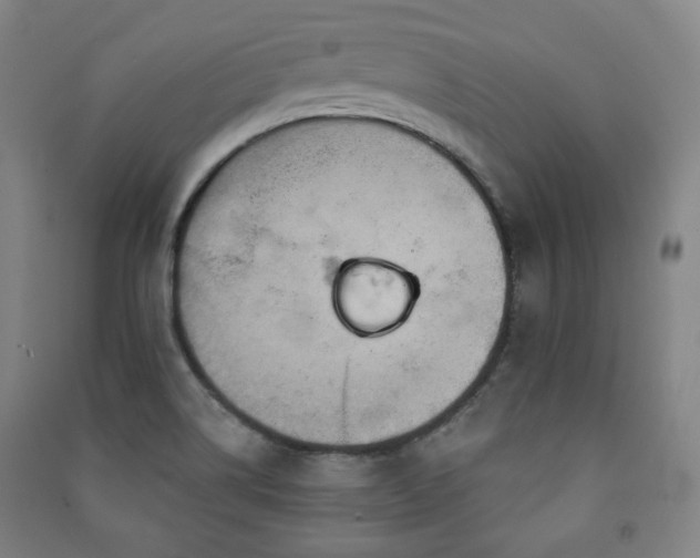 X0000091461514200708161512