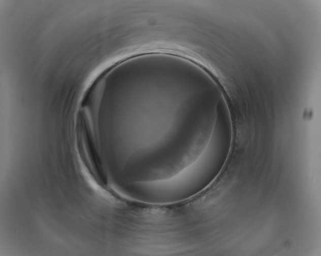 X0000091461515200708161512