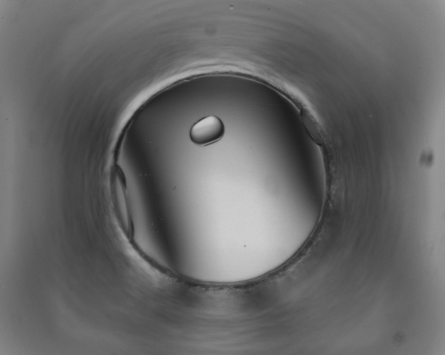 X0000091461516200708161512