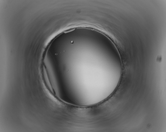X0000091461518200708161512