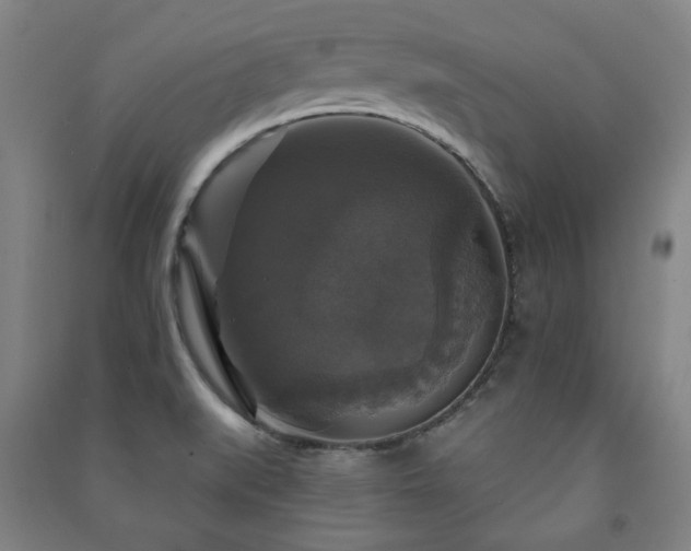 X0000091461519200708161512