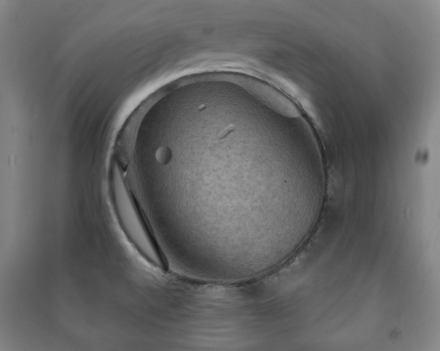 X0000091461520200708161512