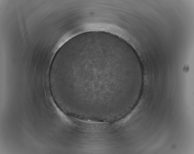 X0000091461521200708161512