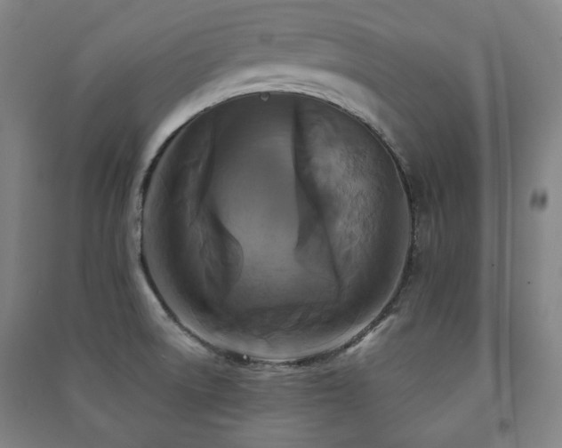 X0000091461522200708161512
