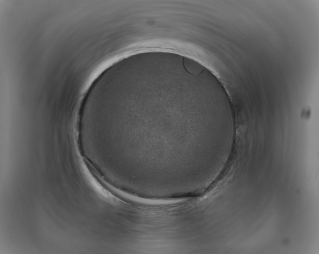 X0000091461523200708161512