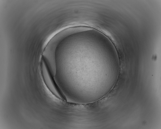 X0000091461524200708161512