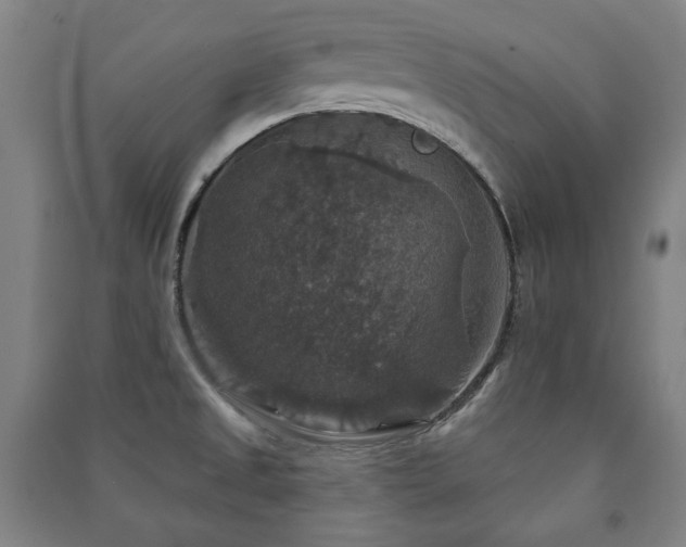X0000091461525200708161512