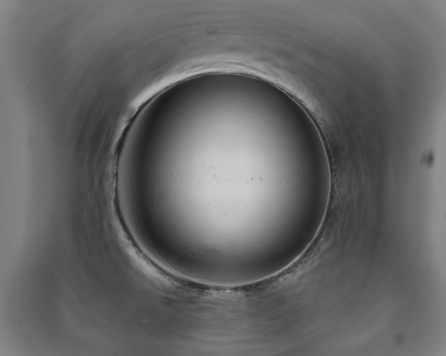 X0000091461526200708161512