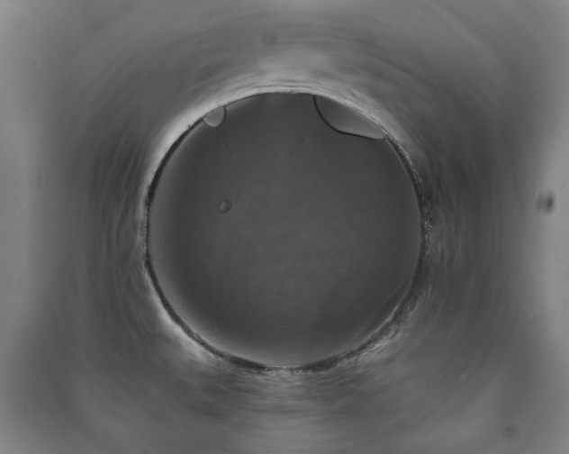 X0000091461527200708161512