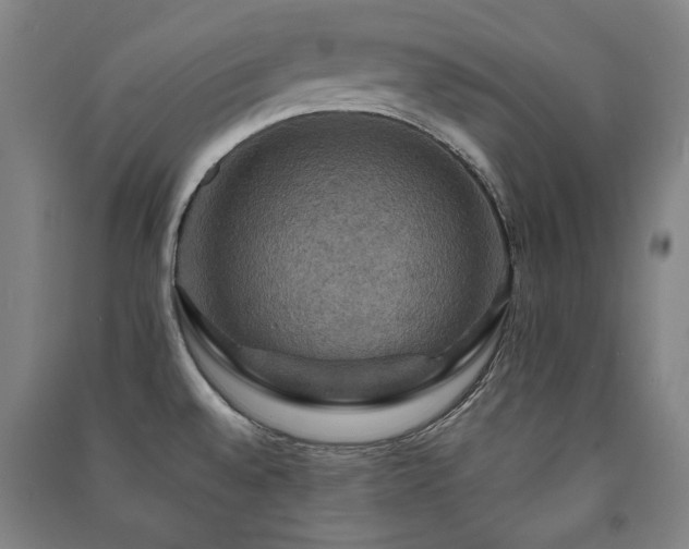 X0000091461528200708161512