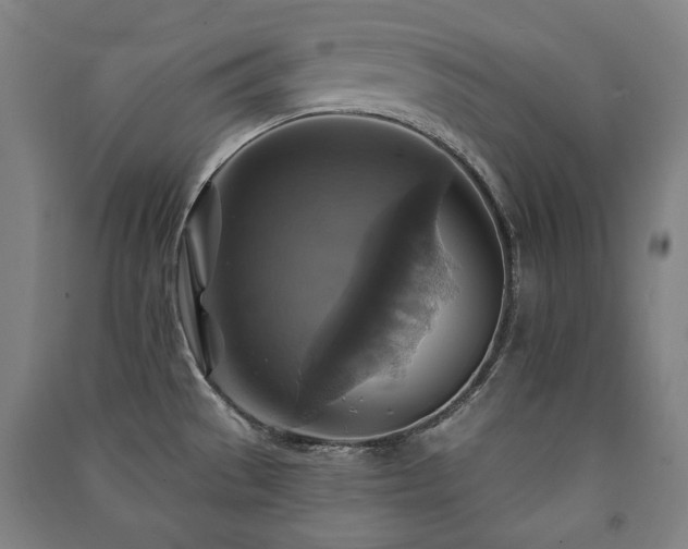 X0000091461529200708161512