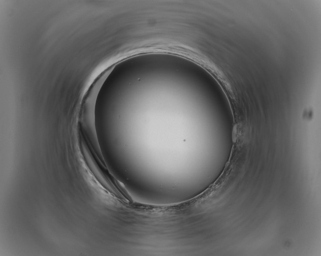 X0000091461530200708161512