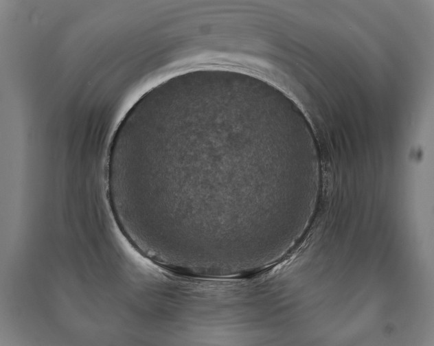 X0000091461531200708161512