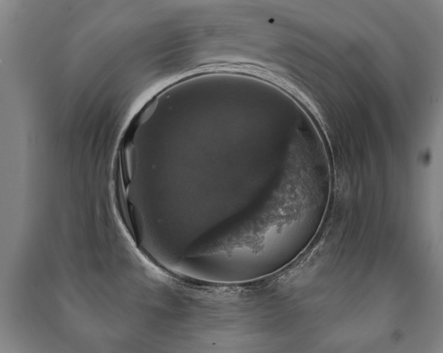X0000091461533200708161512