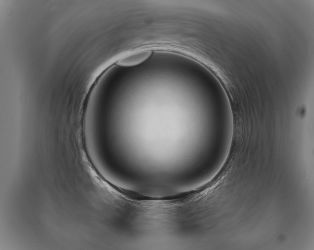 X0000091461534200708161512