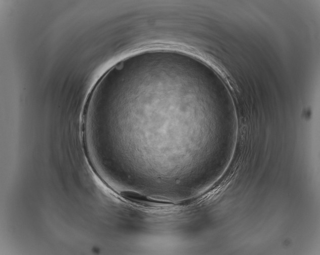 X0000091461535200708161512