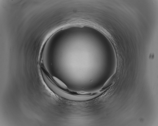X0000091461536200708161512