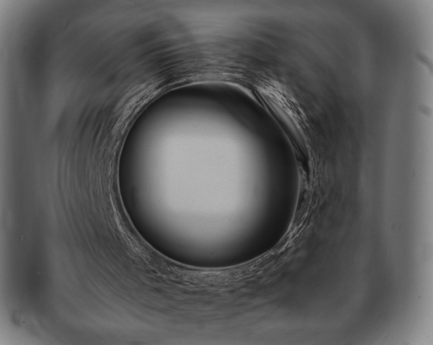 X0000091460001200708231326